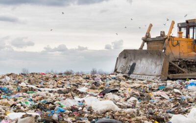 Recycling for Environmental and Social Justice
