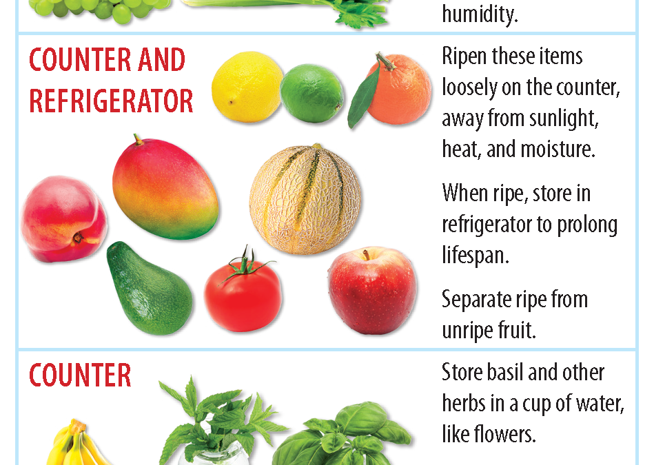 Fruit and Veggie Storage Guide