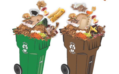 Green Cart Brown Cart