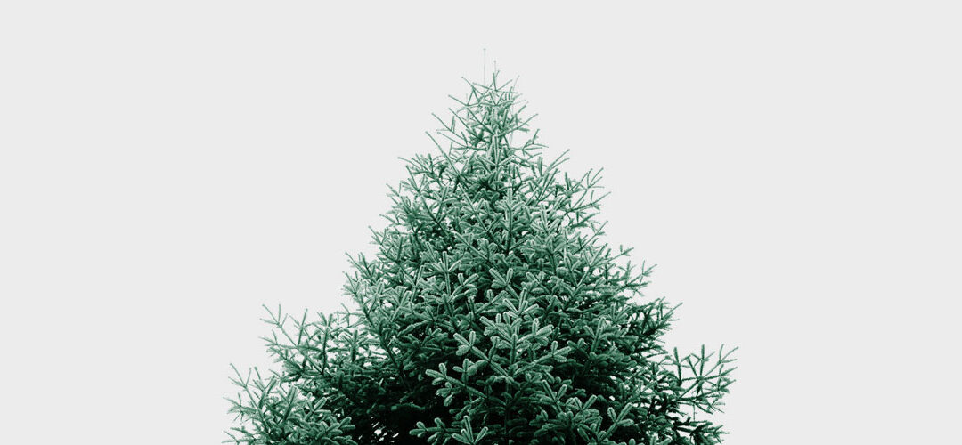 Annual Christmas Tree Pick-Up and Recycling Day