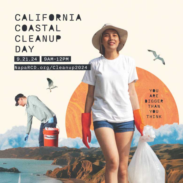 coastal clean up graphic