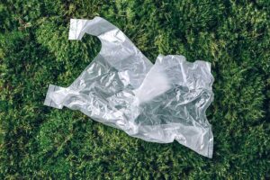 plastic bag on lawn