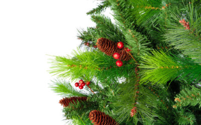 Fire Safety Tips for Natural Christmas Trees