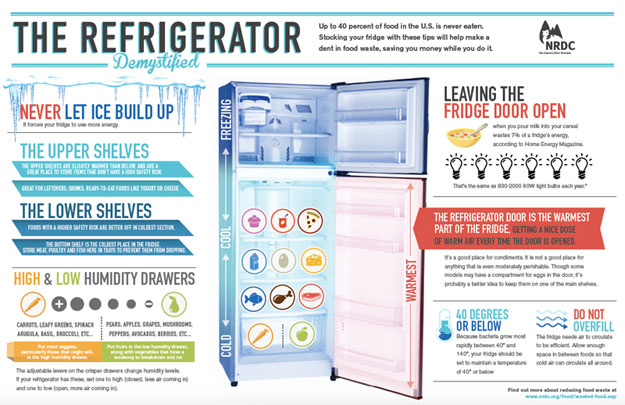inforgraphic about food waste