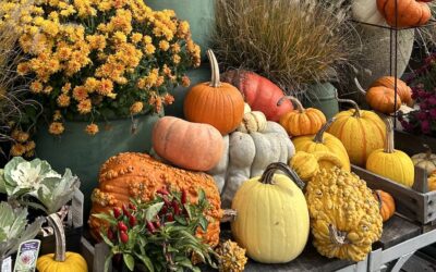 Thanksgiving Updates: Collection Schedule and Cooking Oil Recycling