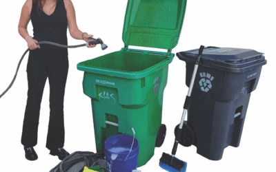 Clean Your Carts with Care and Consideration