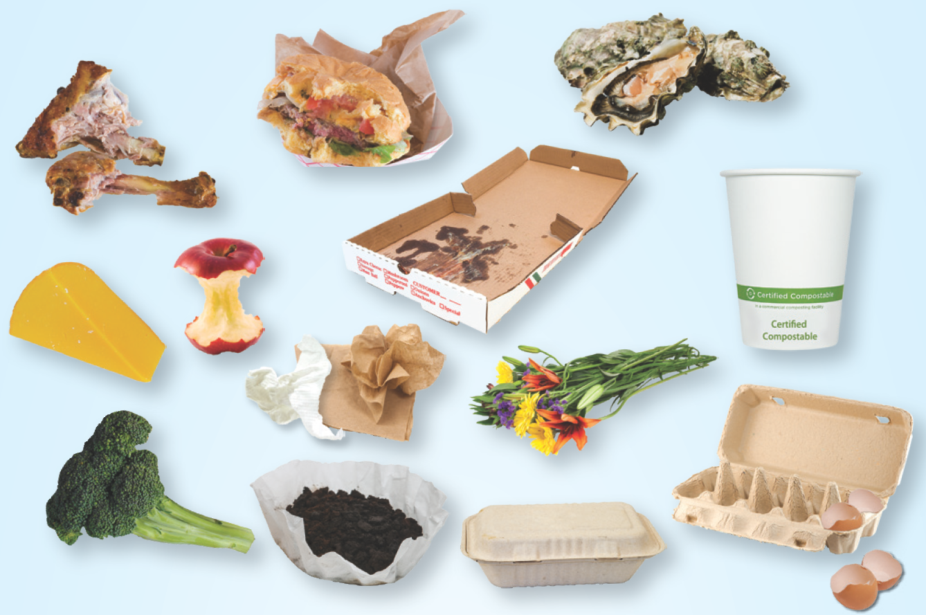 Images of various compostable food scrap and soiled paper items
