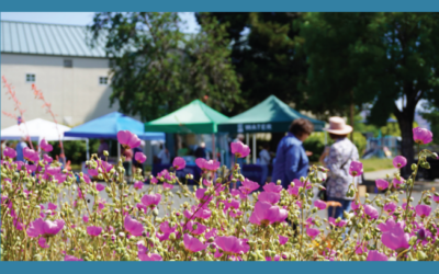 Climate-Friendly Garden Tour