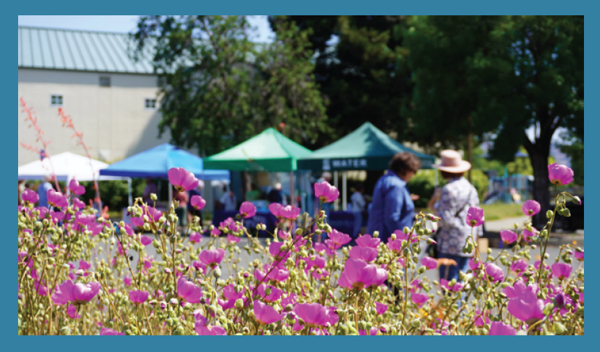 Climate-Friendly Garden Tour