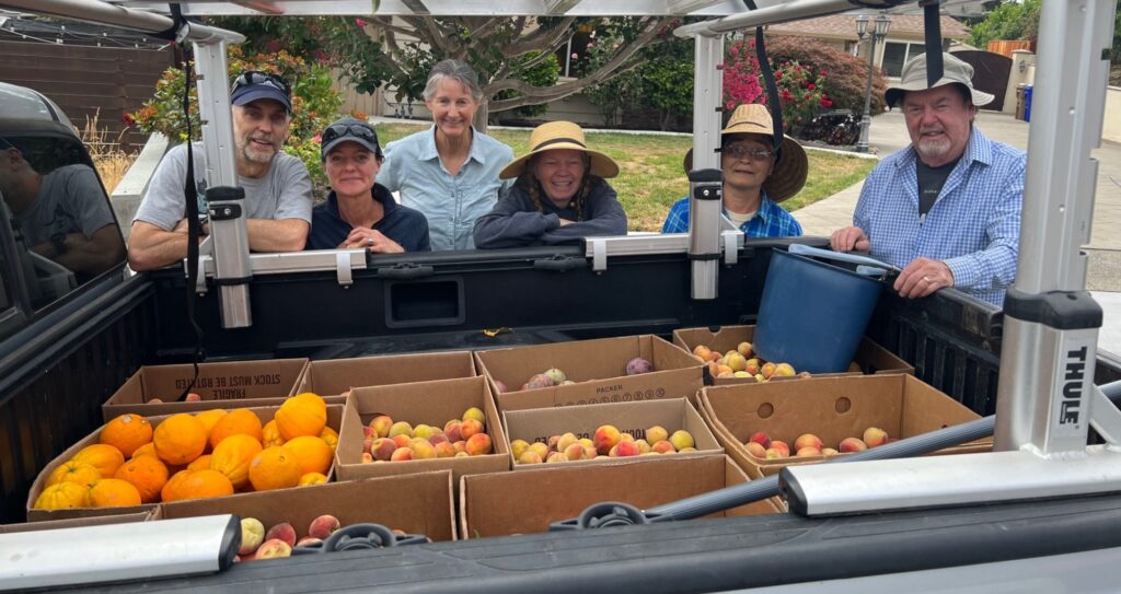 cando-gleaners