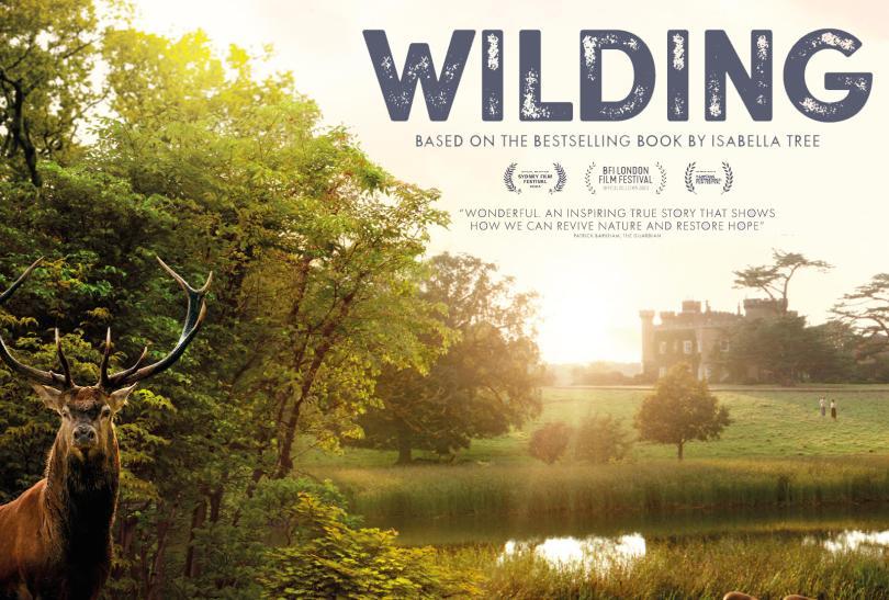 wilding film poster